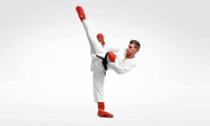 Karate Lessons Igor Dyachenko